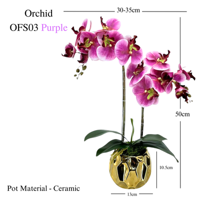 Artificial Orchid in Ceramic Gold Pot (50cm) - Purple/White/RosePink