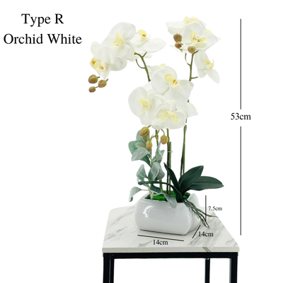 Artificial White Orchid in Ceramic Square Pot (53cm)