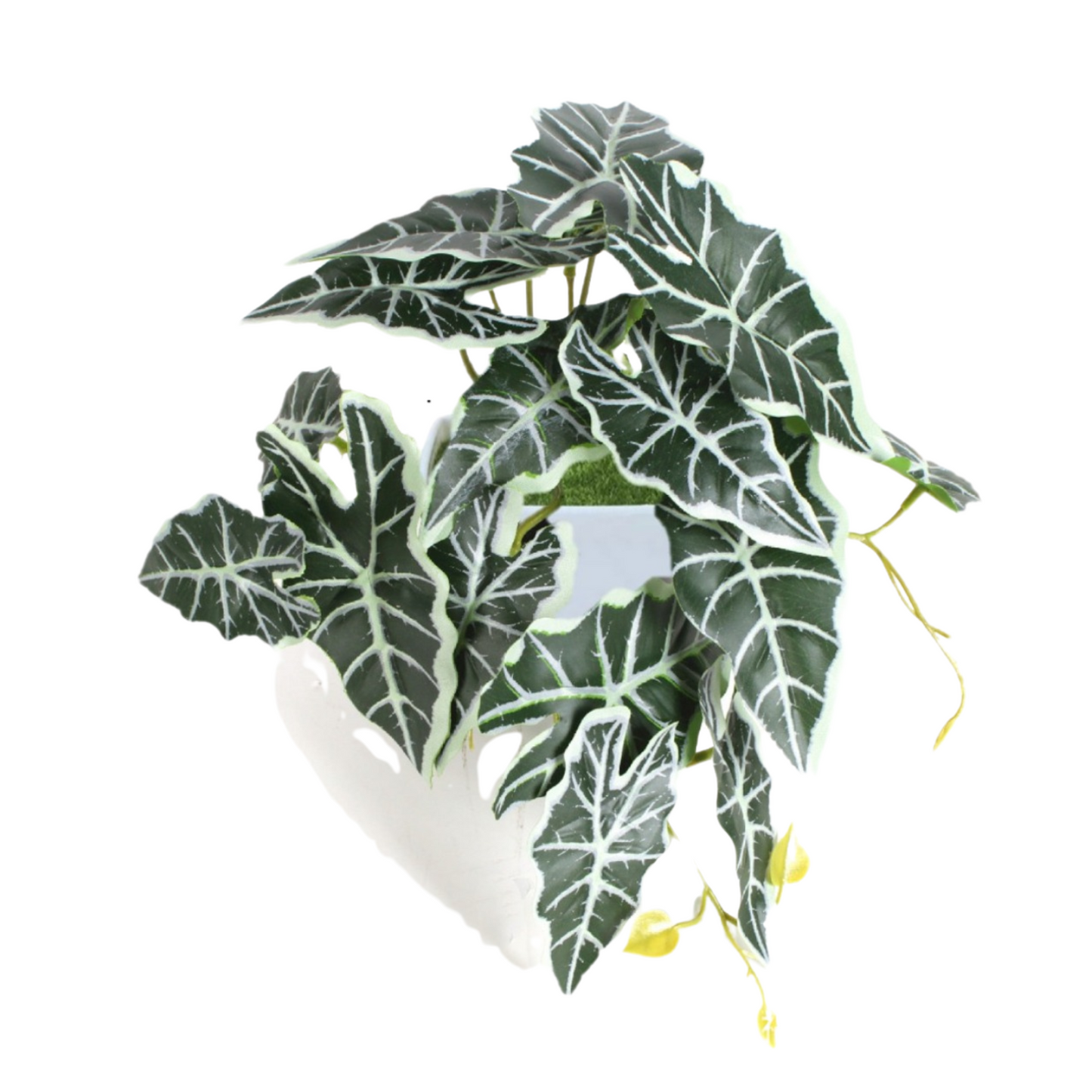 Artificial Mini Potted Alocasia Plant in White Pot