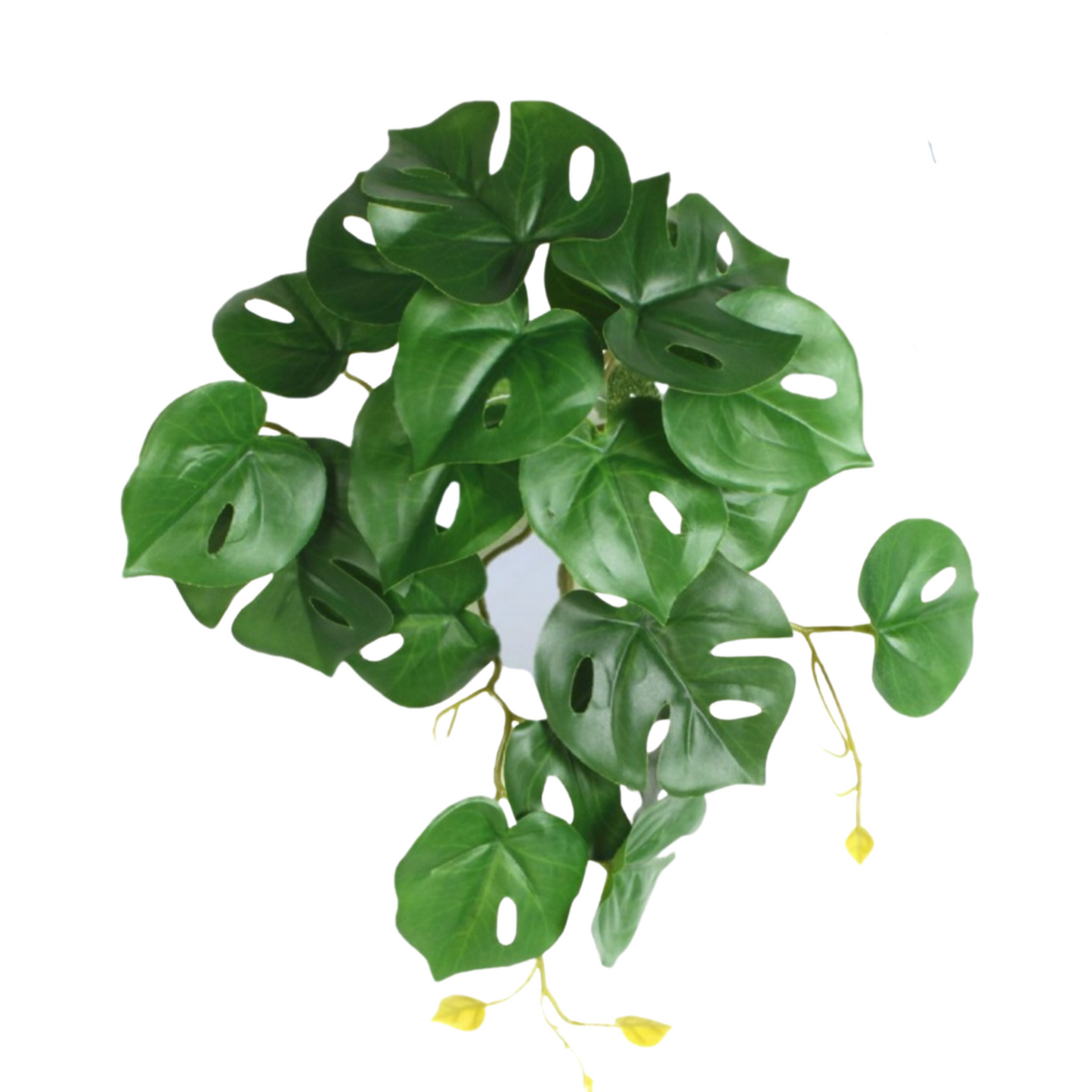 Artificial Mini Potted Monstera Plant in White Pot