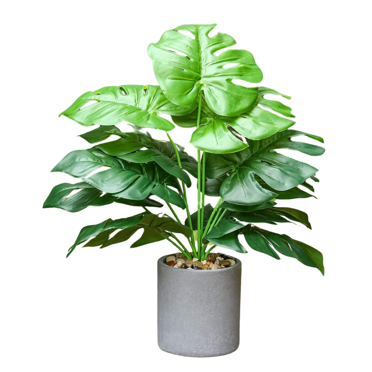 Artificial Small Monstera Potted Plant - Cement pot (45 cm)