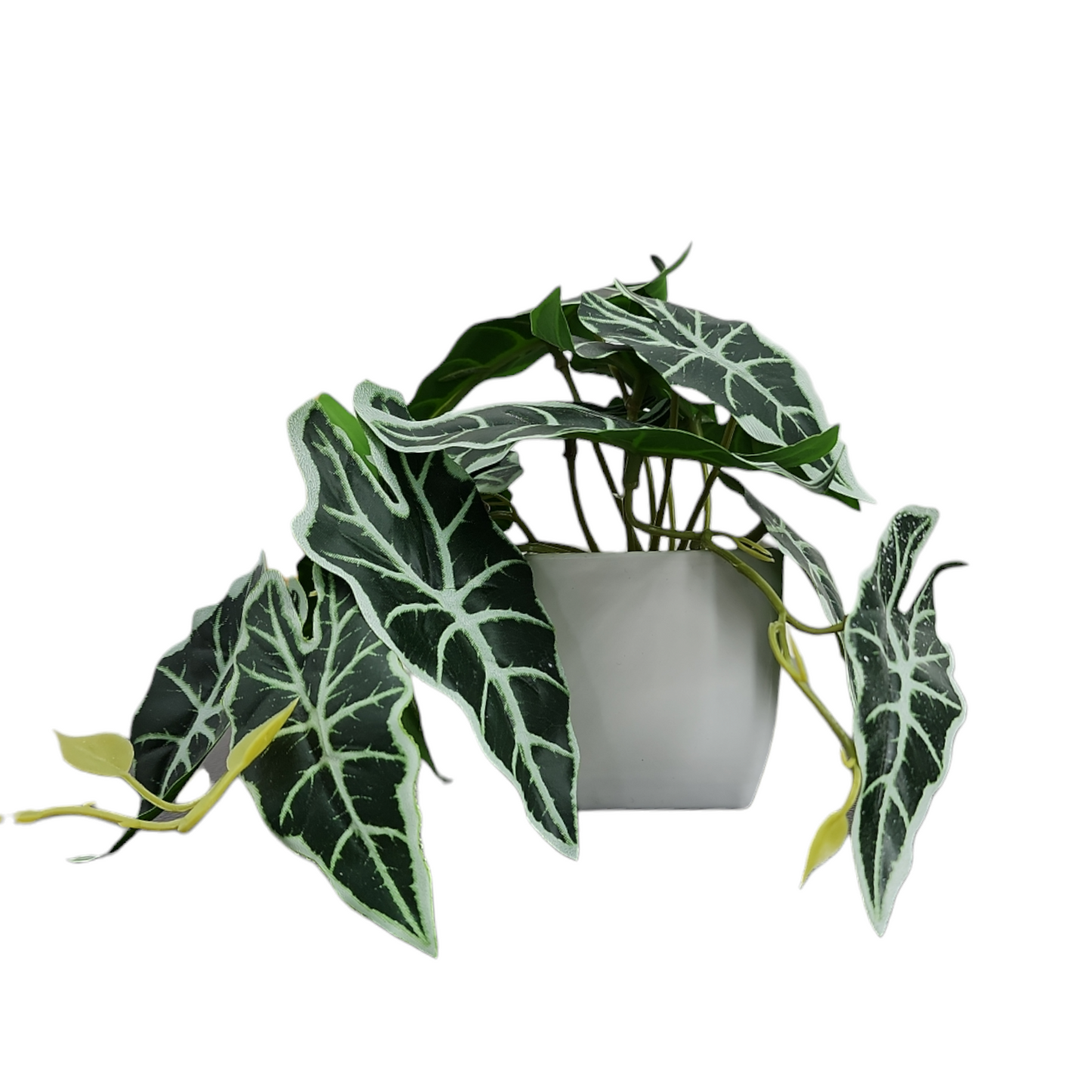 Artificial Mini Potted Alocasia Plant in White Pot