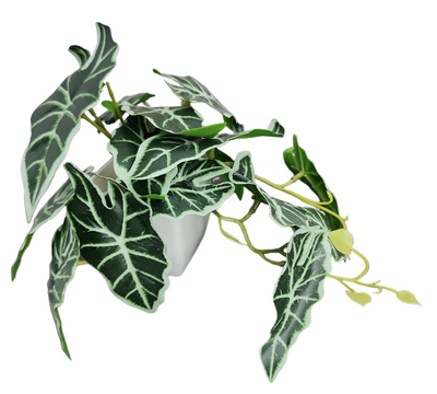 Artificial Mini Potted Alocasia Plant in White Pot