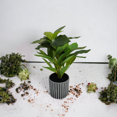 Artificial Small Potted Plant - Striped Pot (29 cm)