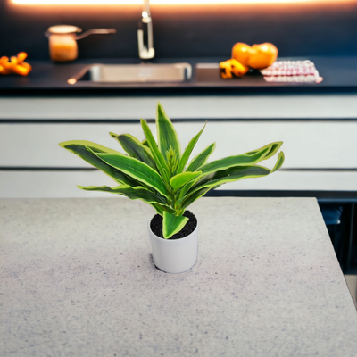 Artificial Small Potted Plant - White Pot (27 cm)