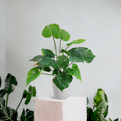 Artificial Small Potted Plant - White pot (33cm)
