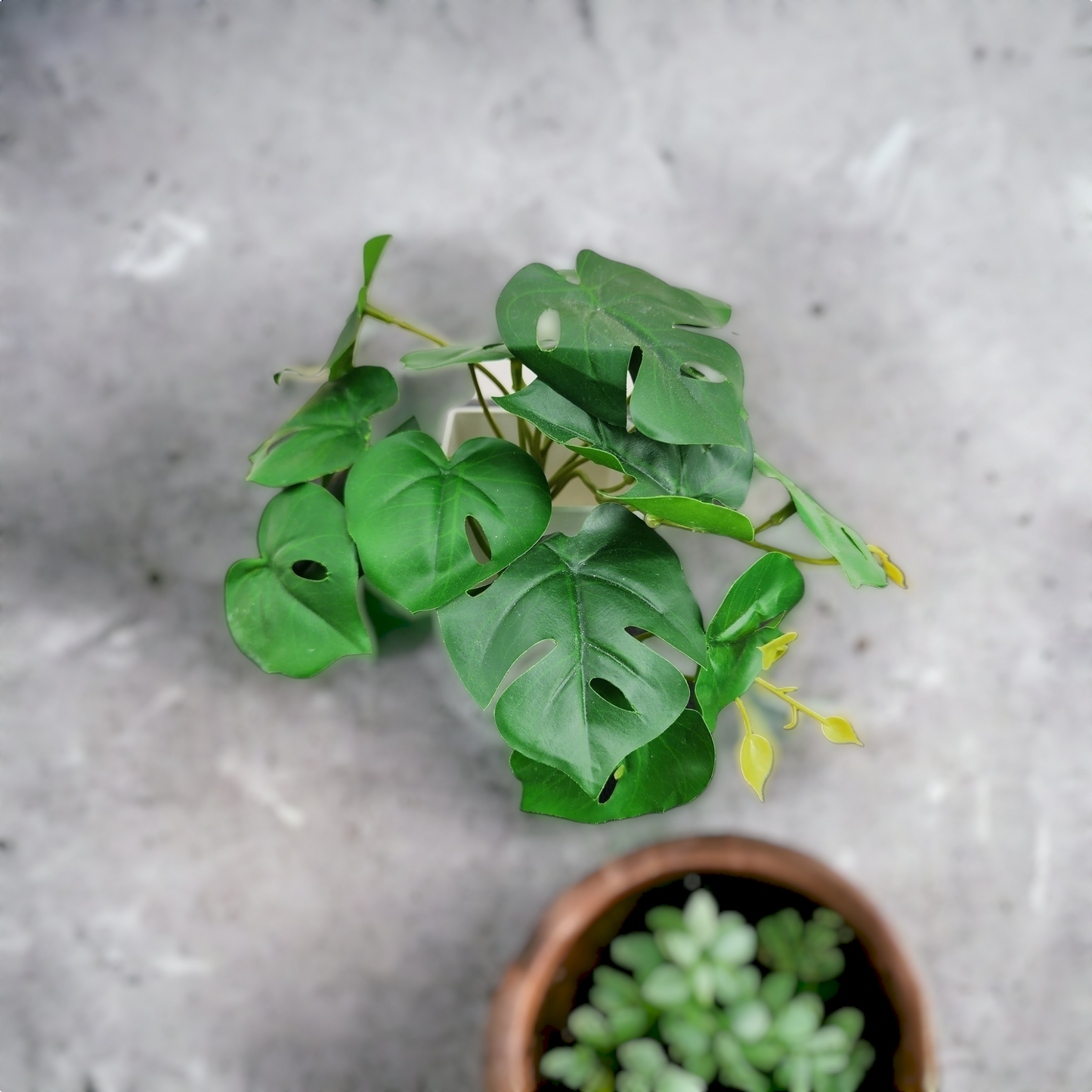 Artificial Mini Potted Monstera Plant in White Pot
