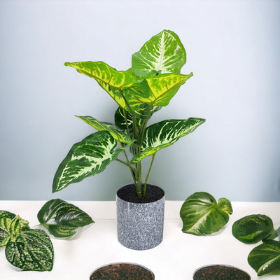 Artificial Small Potted Plant - Speckled Pot (35cm)