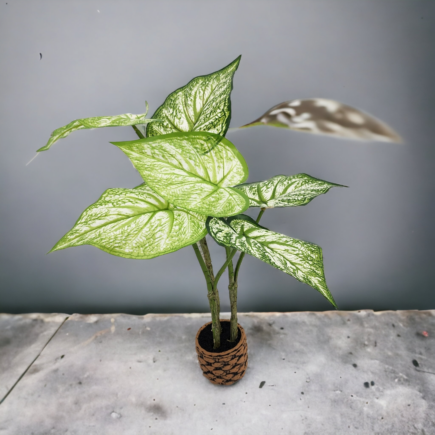 Artificial Medium Arrowhead Plant - Patterned Pot (60cm)