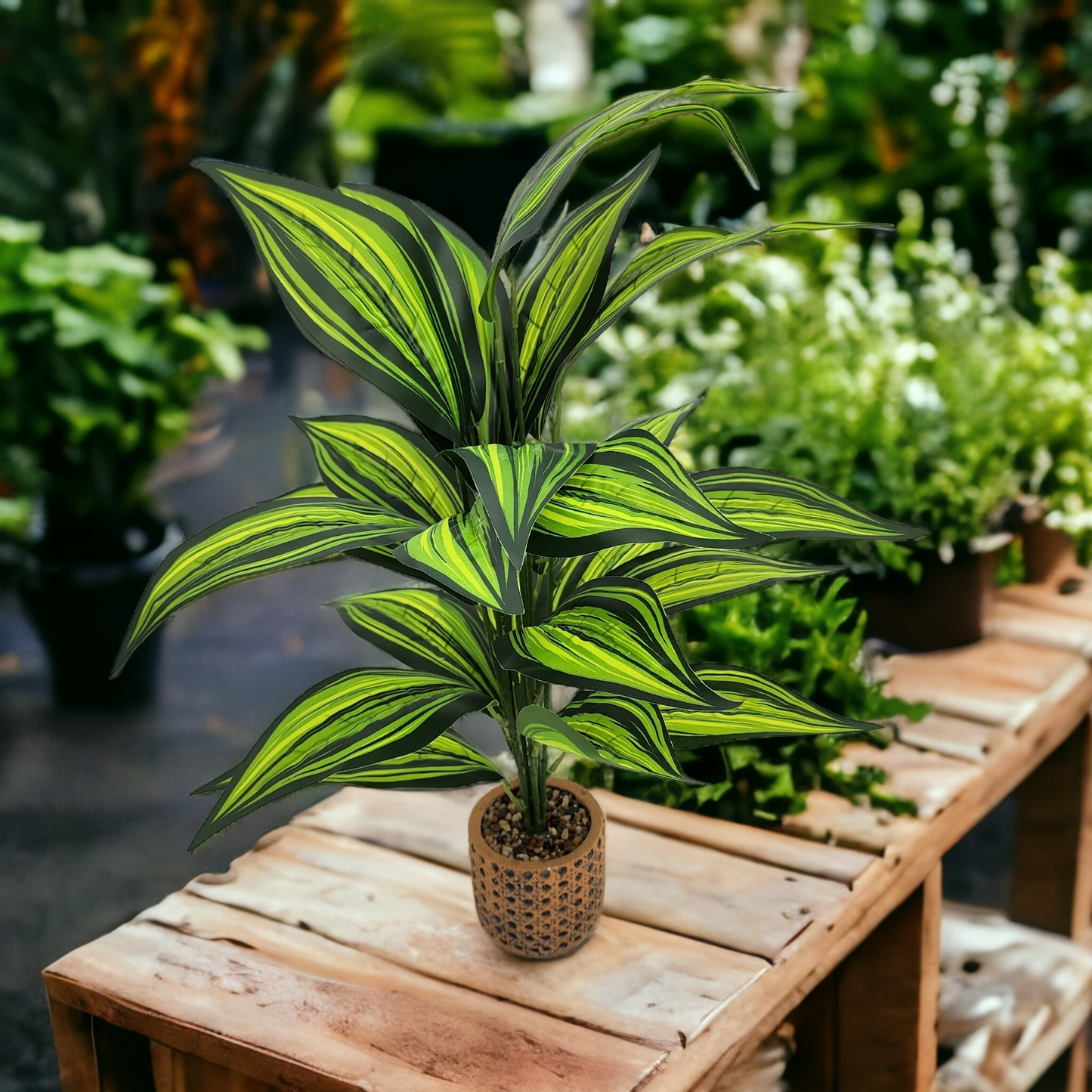 Artificial Medium Dracaena Plant - Light Stone Pot (60cm)