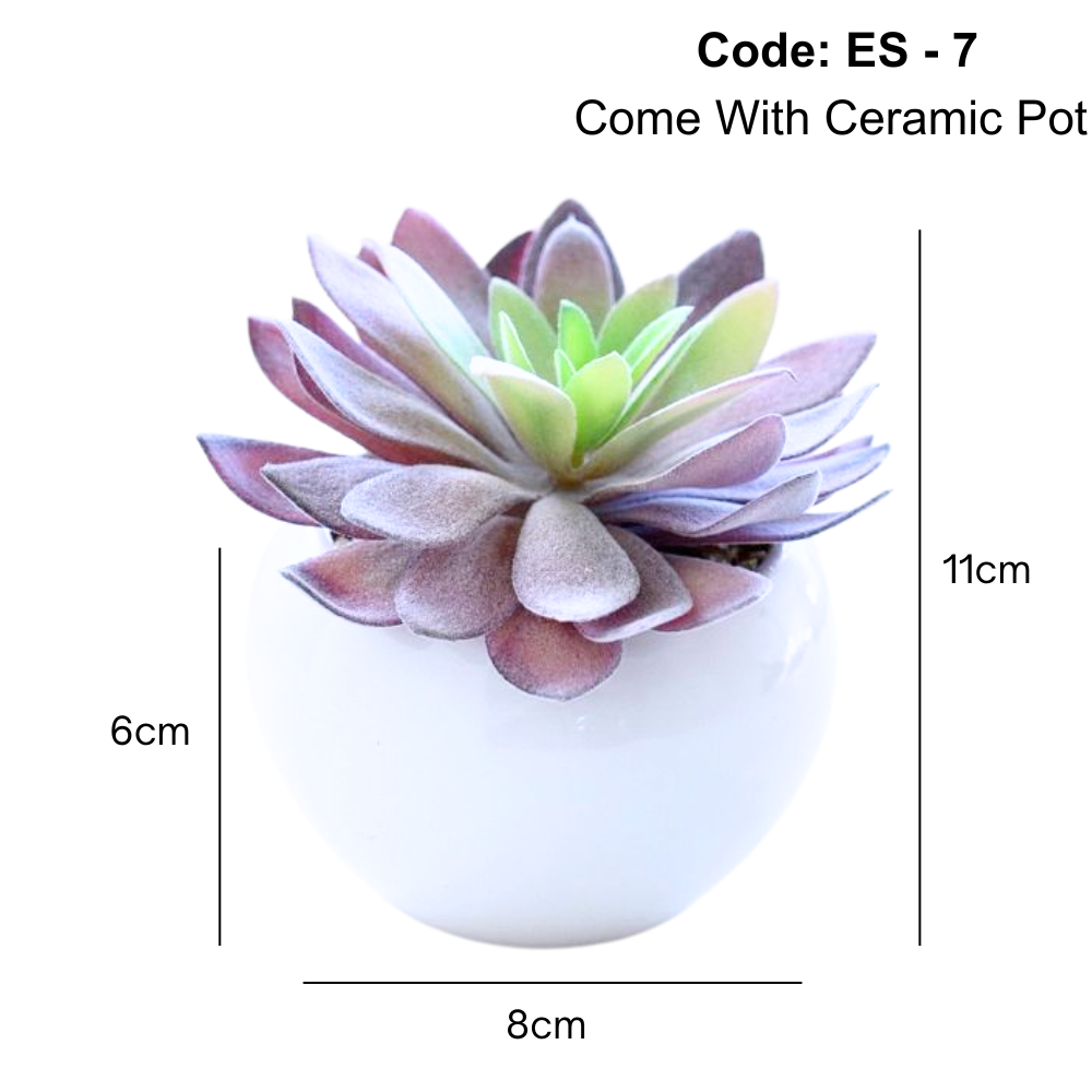 Artificial small succulent in Ceramic Pot
