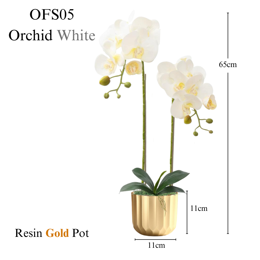 Artificial Orchid in Resin Gold Pot