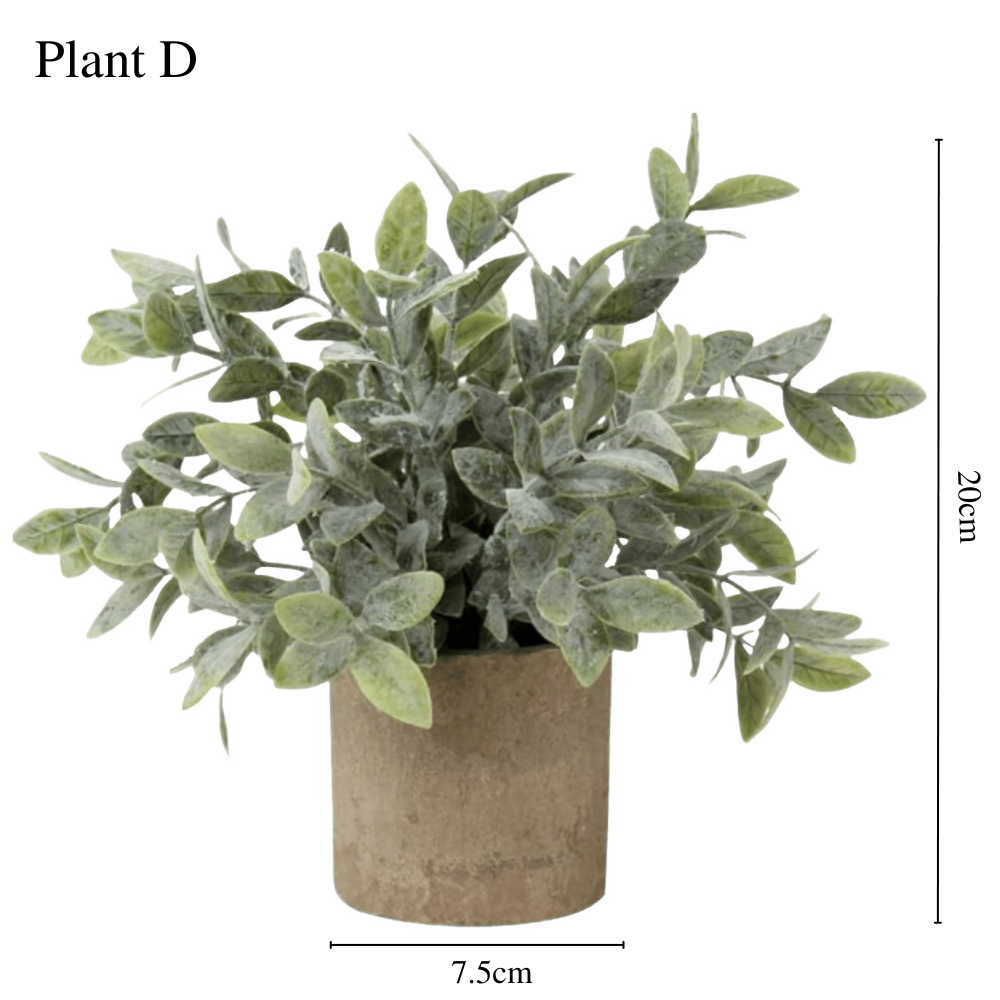 Artificial Small Leave Tea with Forst Table Plant in Pulp Pot