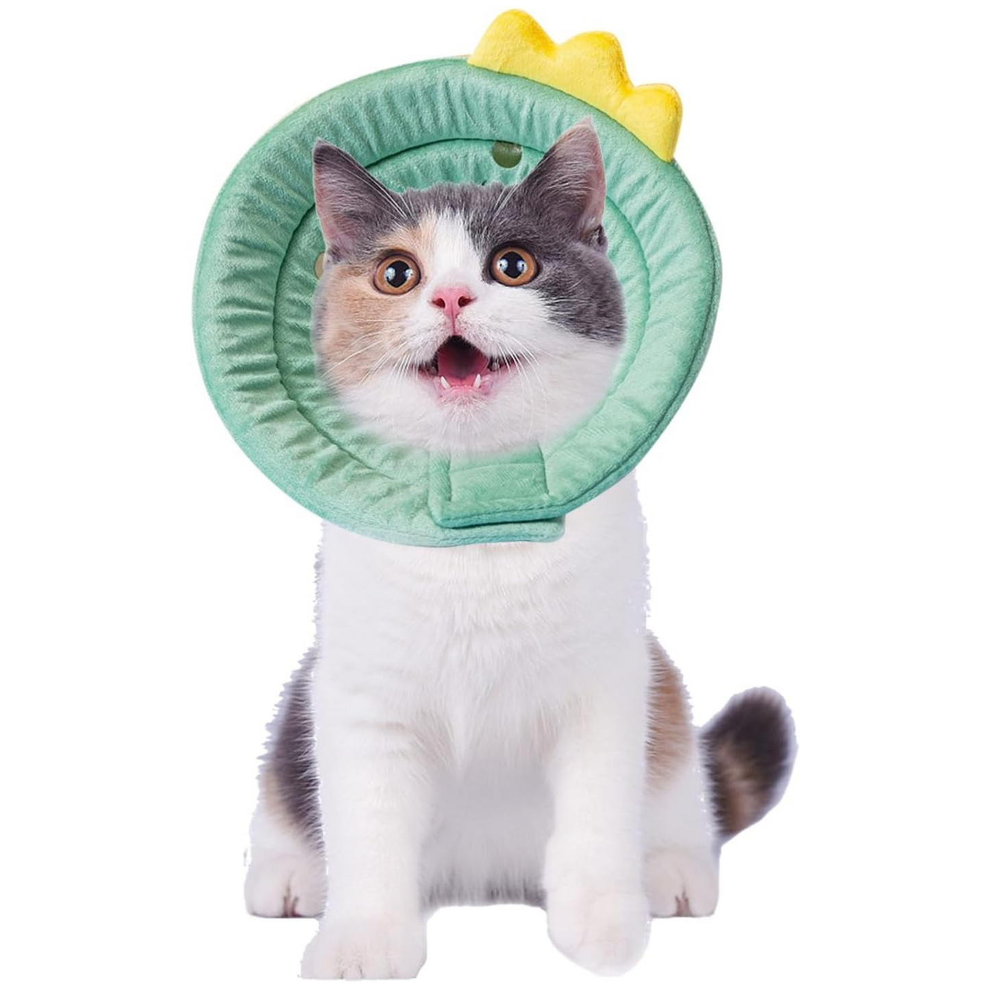 Dinosaur design Pet Collar
