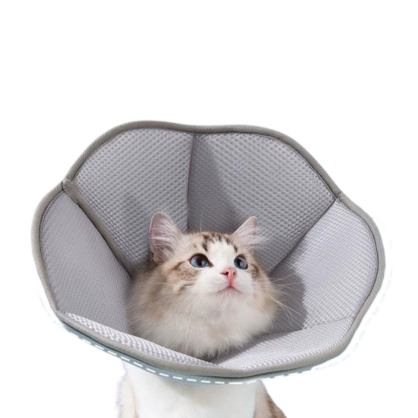 Mesh Breathable Pet Cone Collar (Grey)