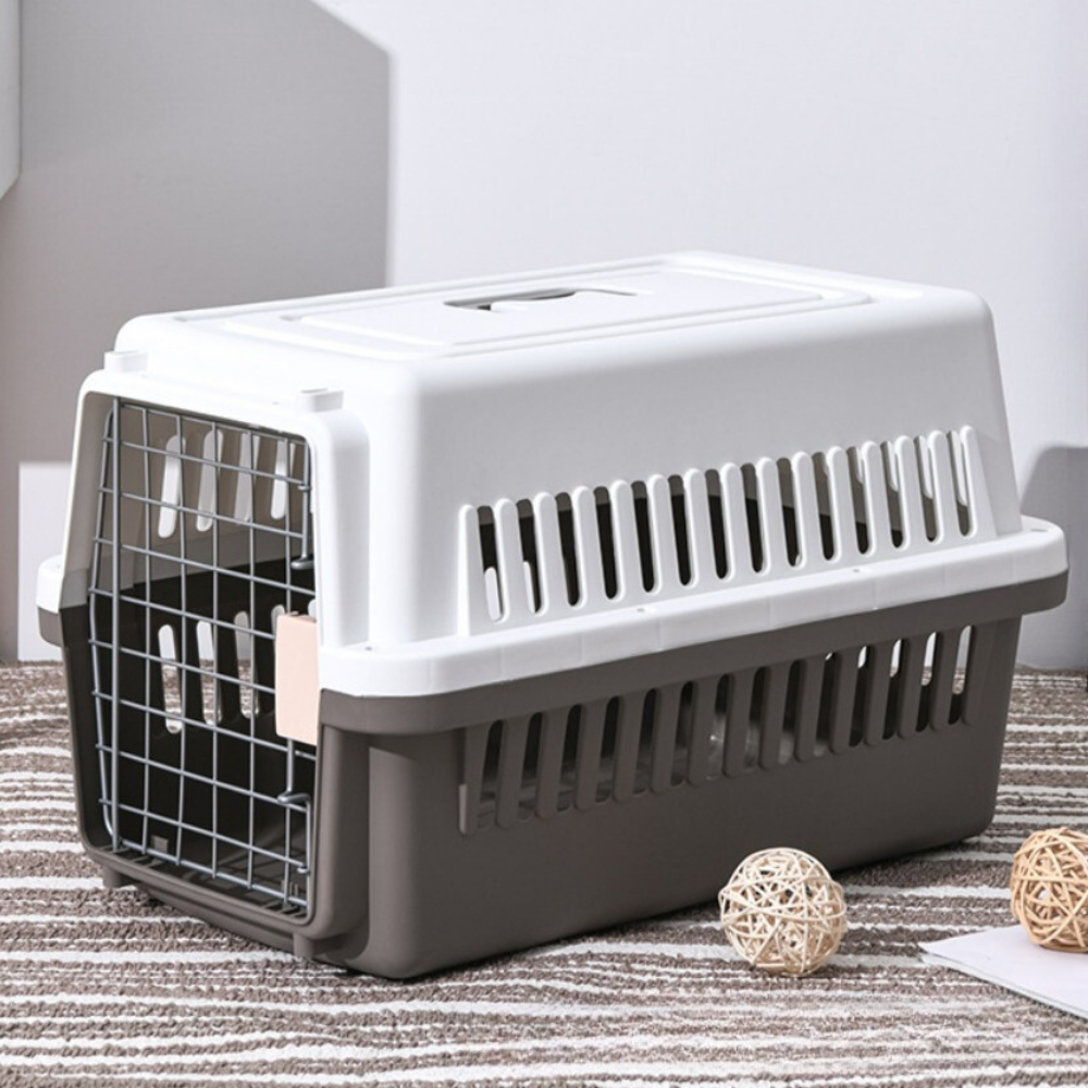 Pet Travel Carrier