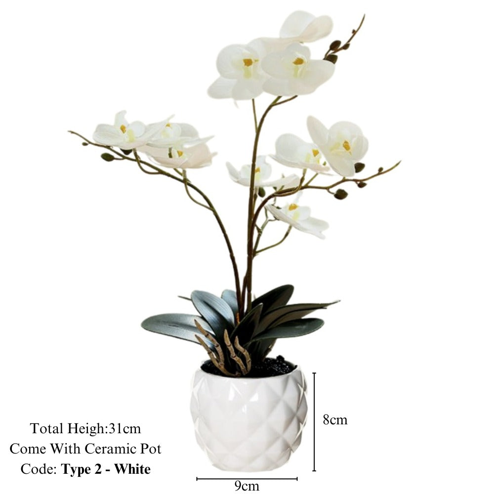 Artificial Orchid in Pot - Ceramic White Pot (31cm)