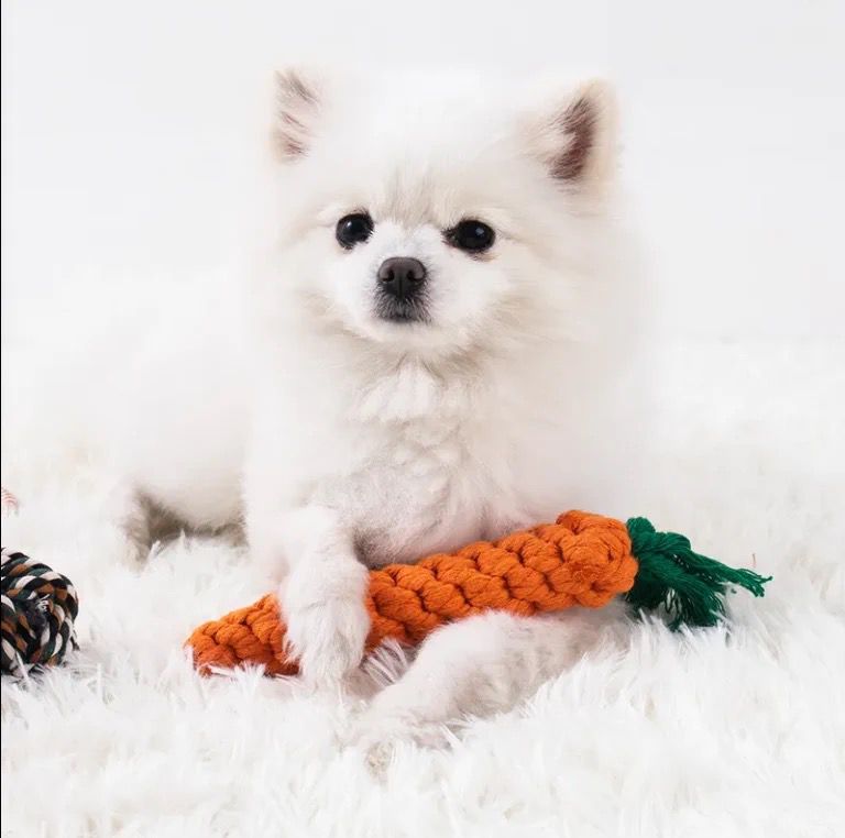 Dog Tug Toy Set