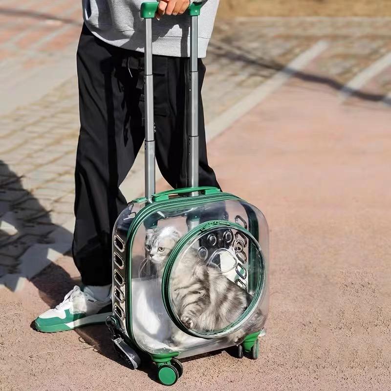 Transparent Pet Luggage and Backpack Trolley Carrier - Square (40cm)
