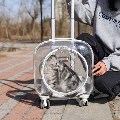 Transparent Pet Luggage and Backpack Trolley Carrier - Square (40cm)