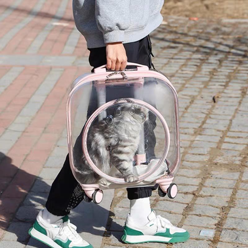 Transparent Pet Luggage and Backpack Trolley Carrier - Square (40cm)