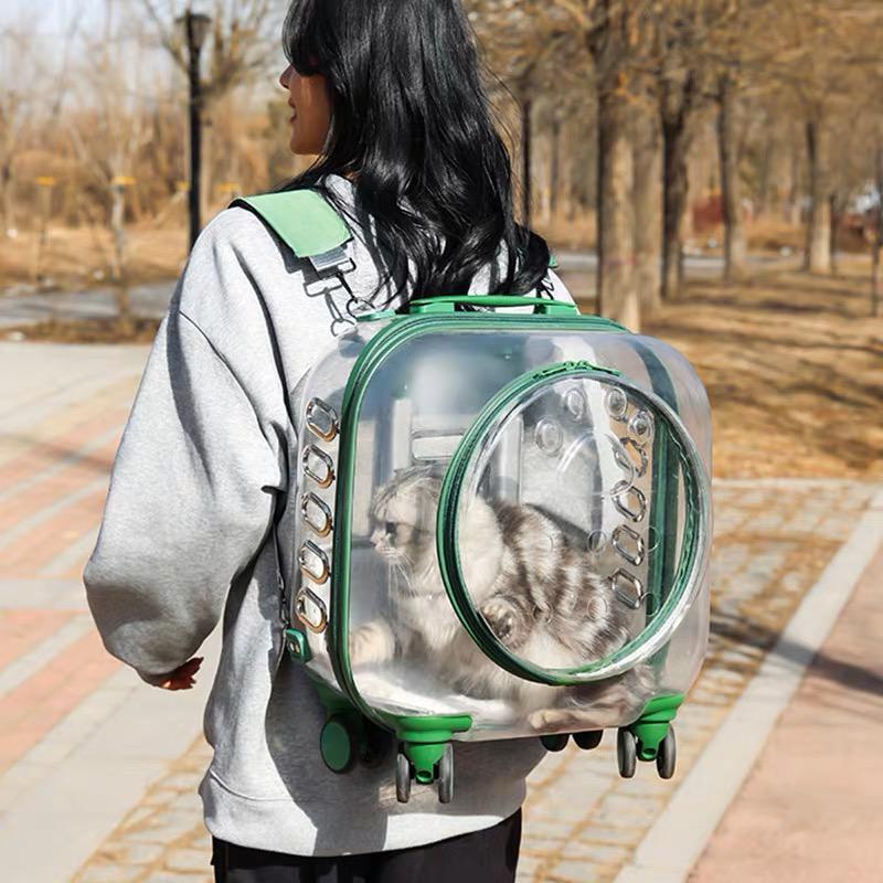 Transparent Pet Luggage and Backpack Trolley Carrier - Square (40cm)