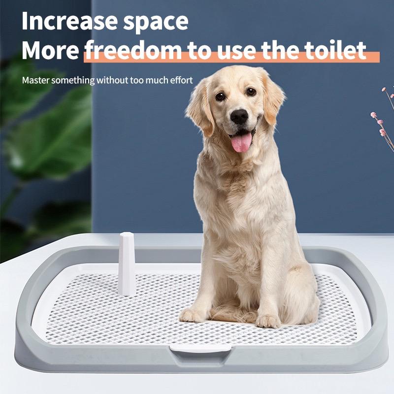 Training Pee Tray with Tray Handle (Low)