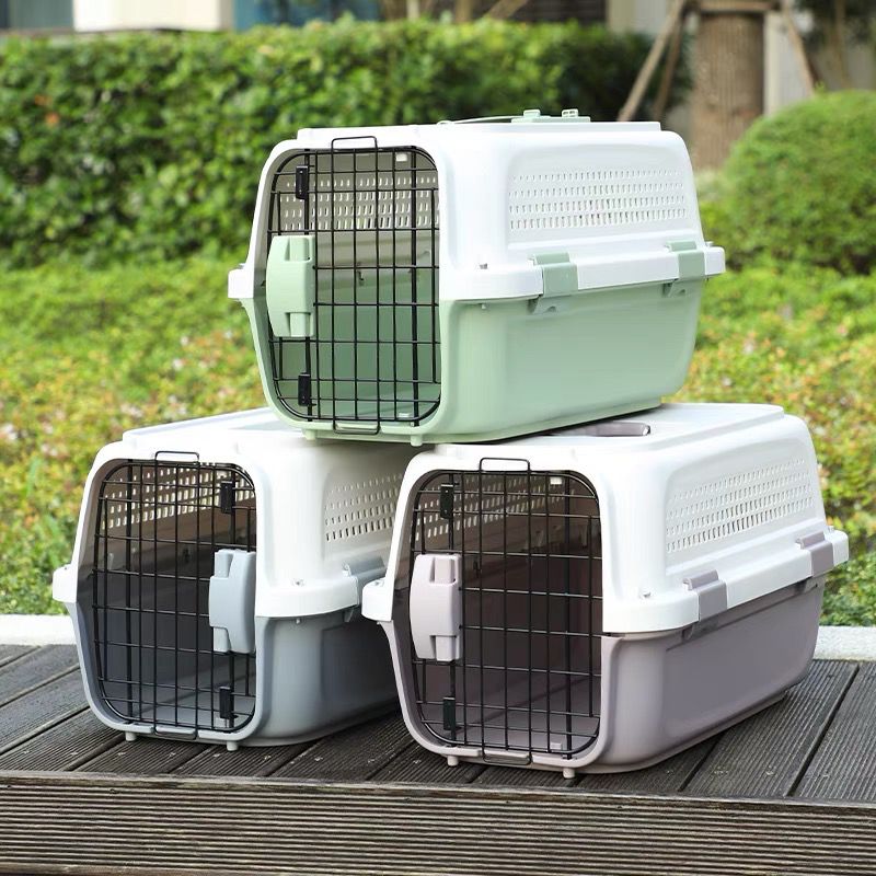 Pet Travel Carrier with Sky Window - Grey