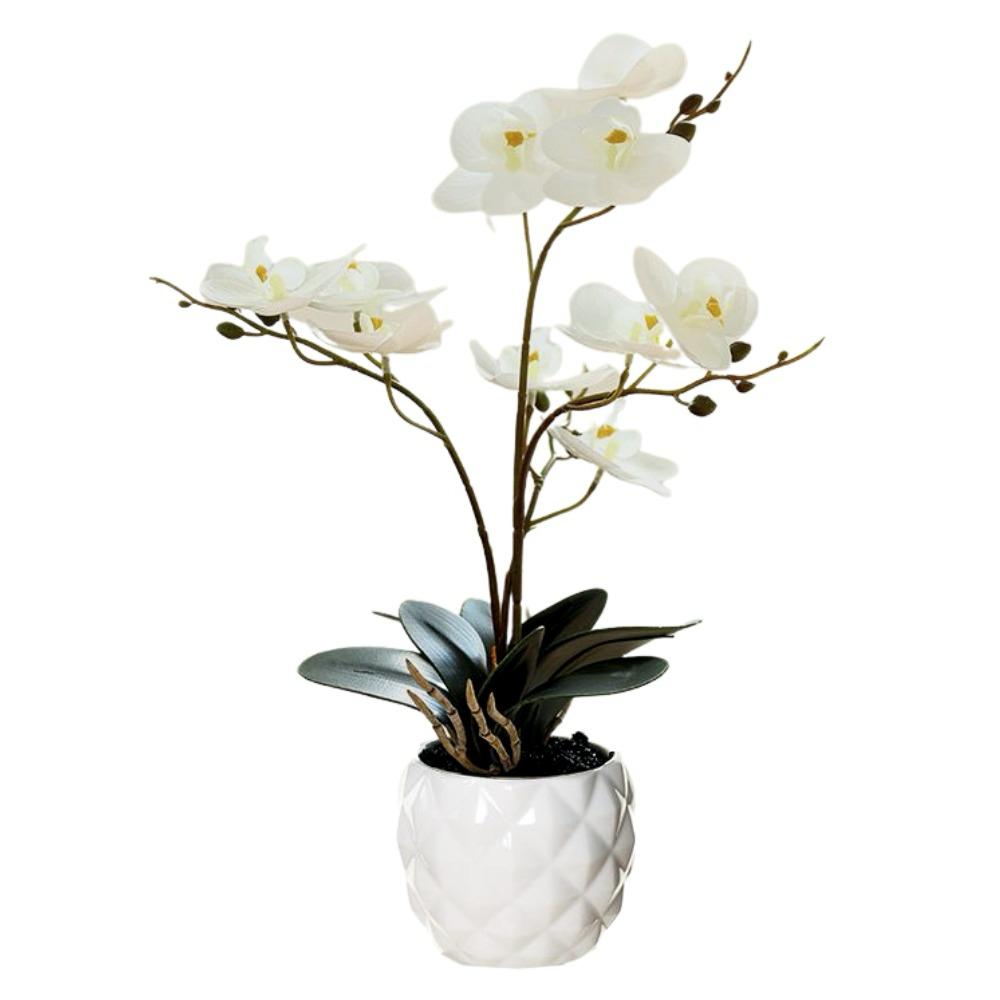 Artificial Orchid in Pot - Ceramic White Pot (31cm)