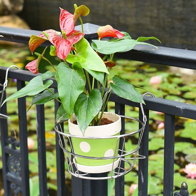 Round Stainless Steel Hanging Basket (White)