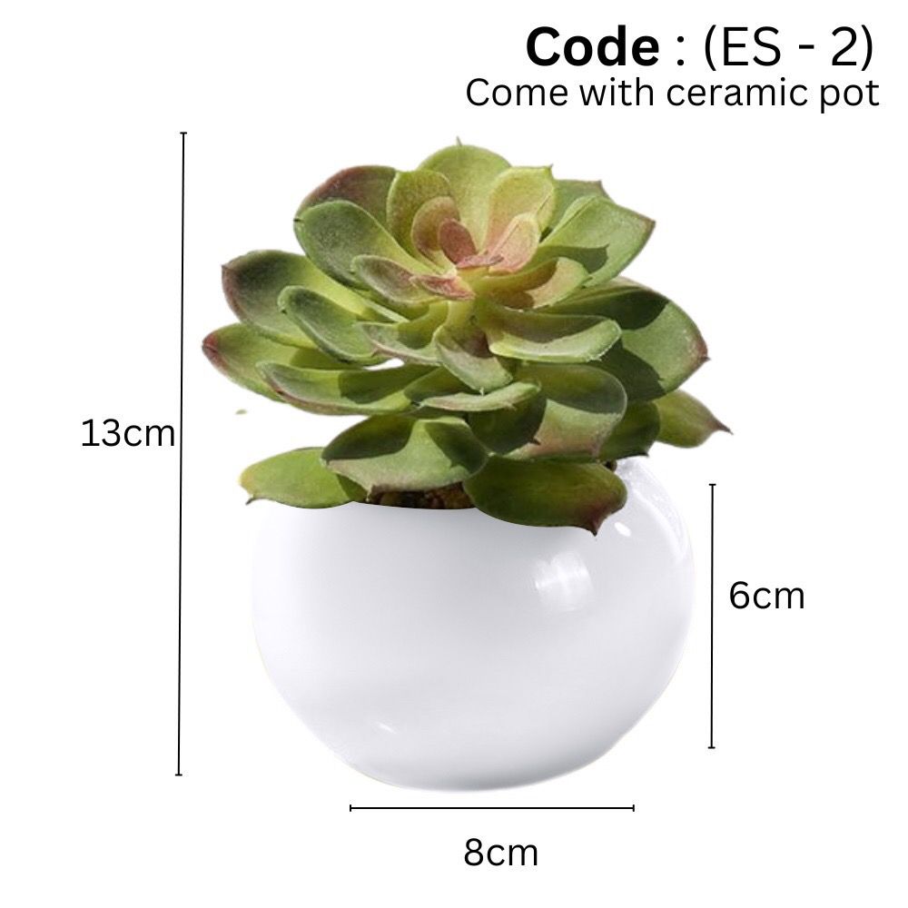 Artificial small succulent in Ceramic Pot