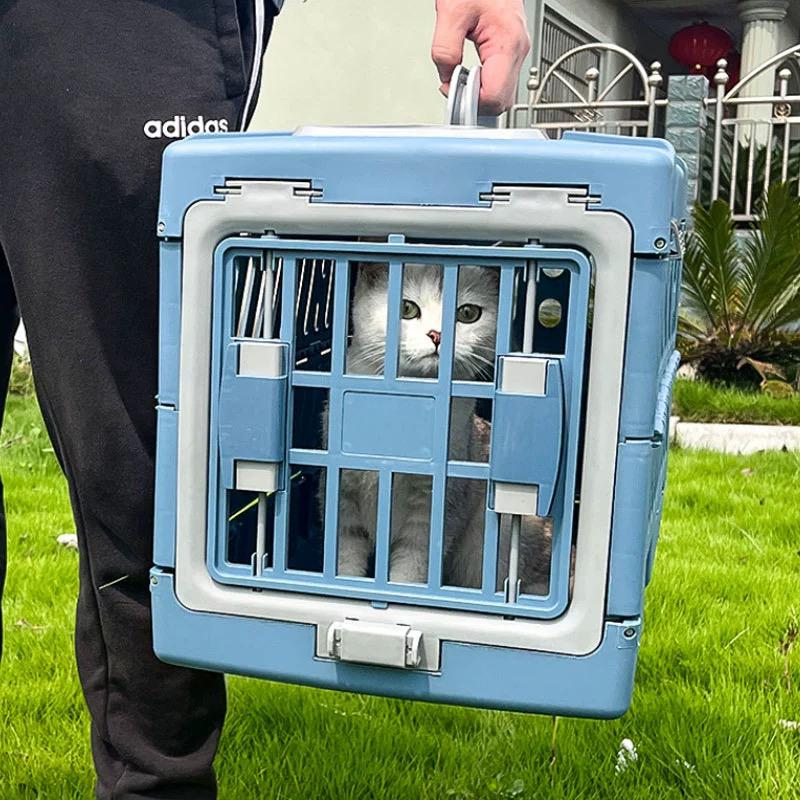 Foldable Travel Carrier (Blue)