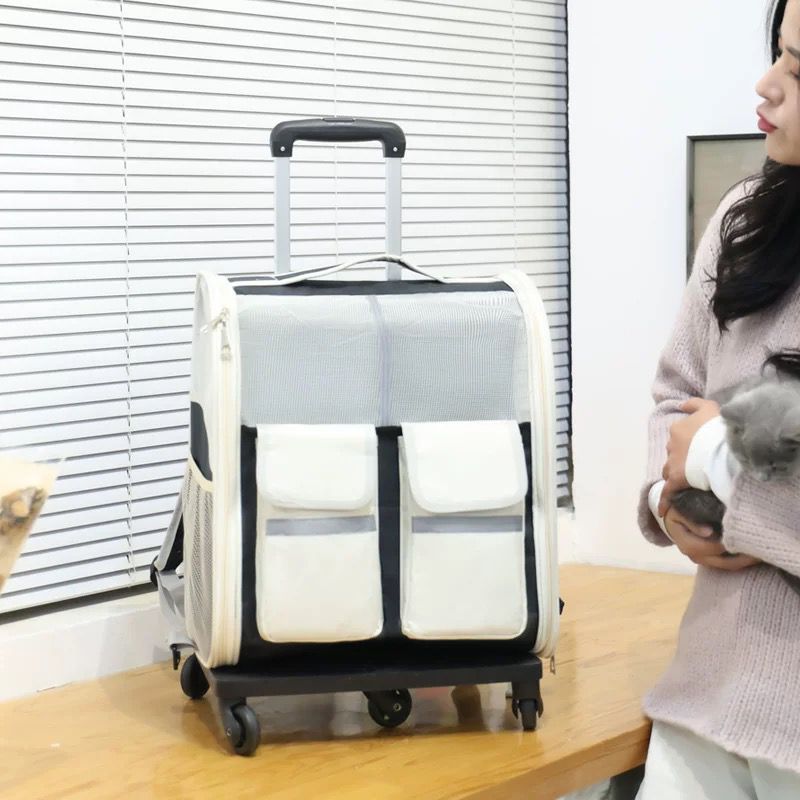Collapsible Pet Luggage