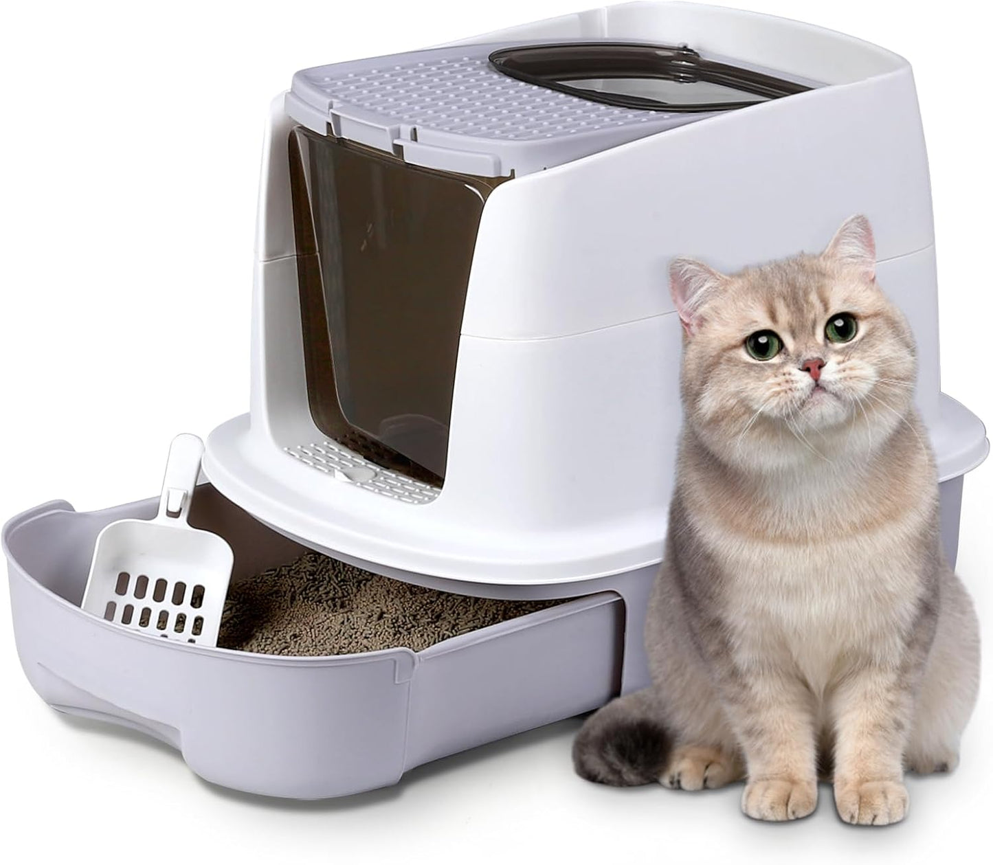 Enclosed Litter Box Top & Front Entrance
