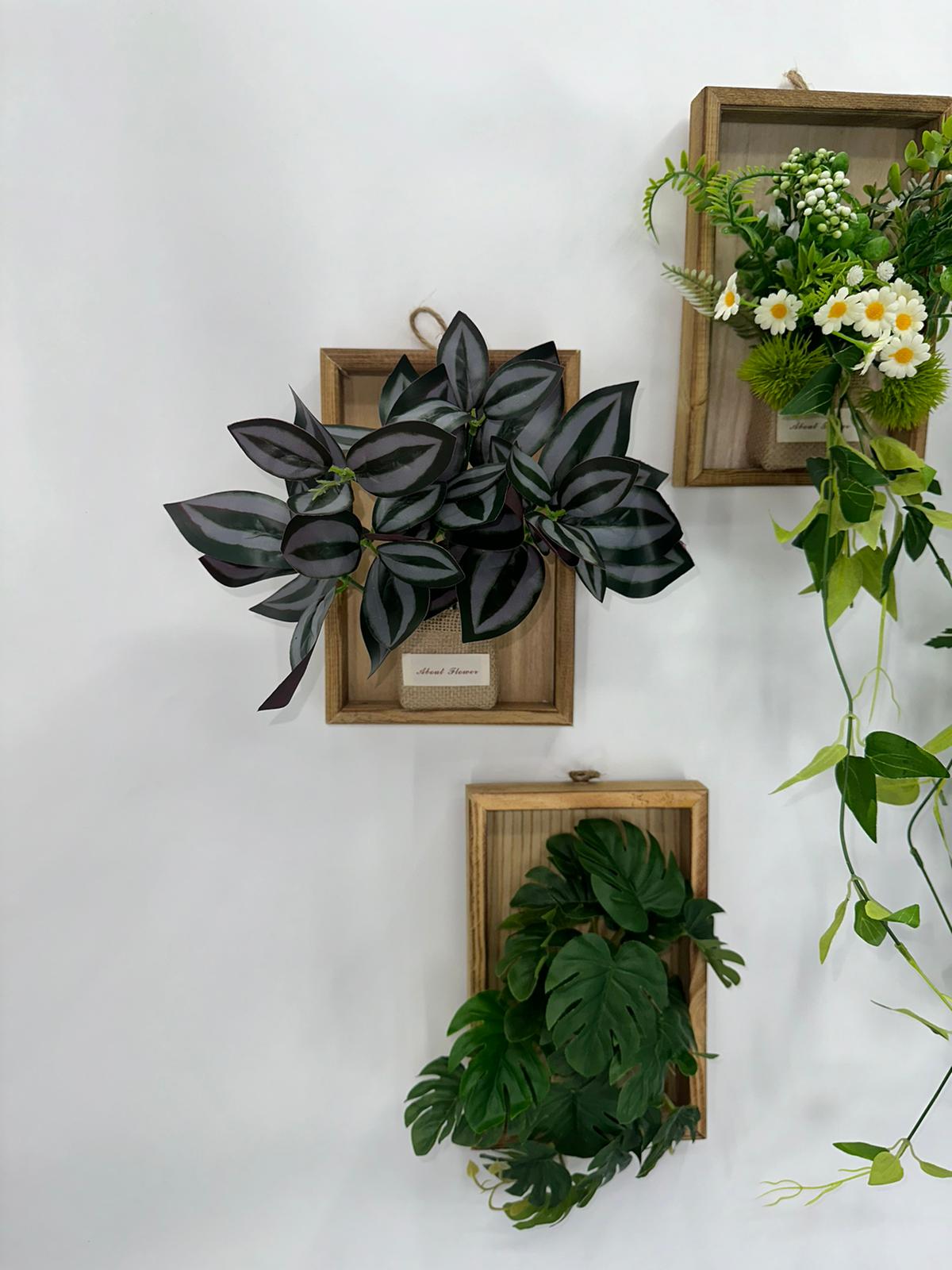 Artificial Inchplant Hanging Wooden Frame