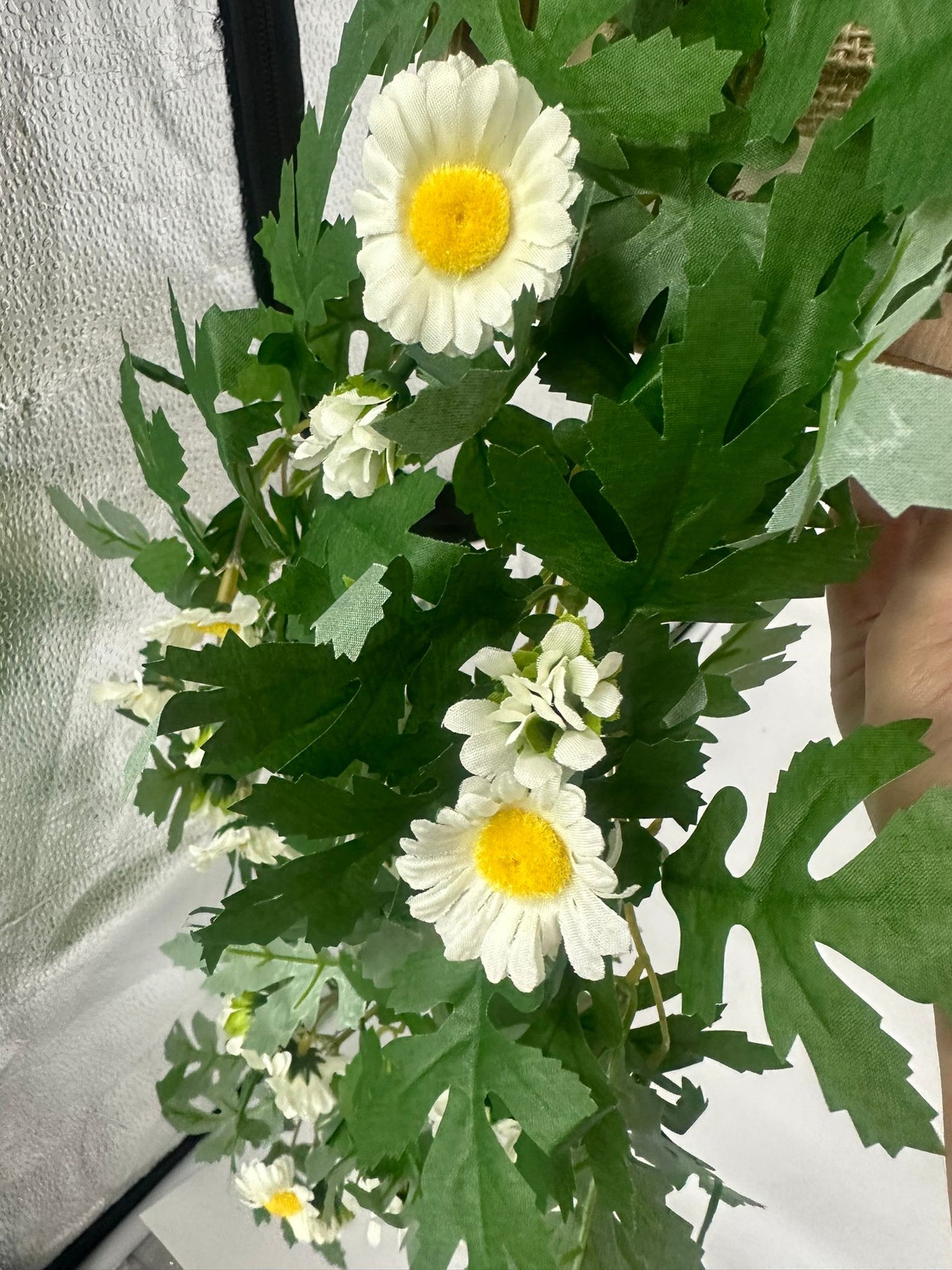 Artificial Little Daisy Eucalyptus Hanging Wooden Frame