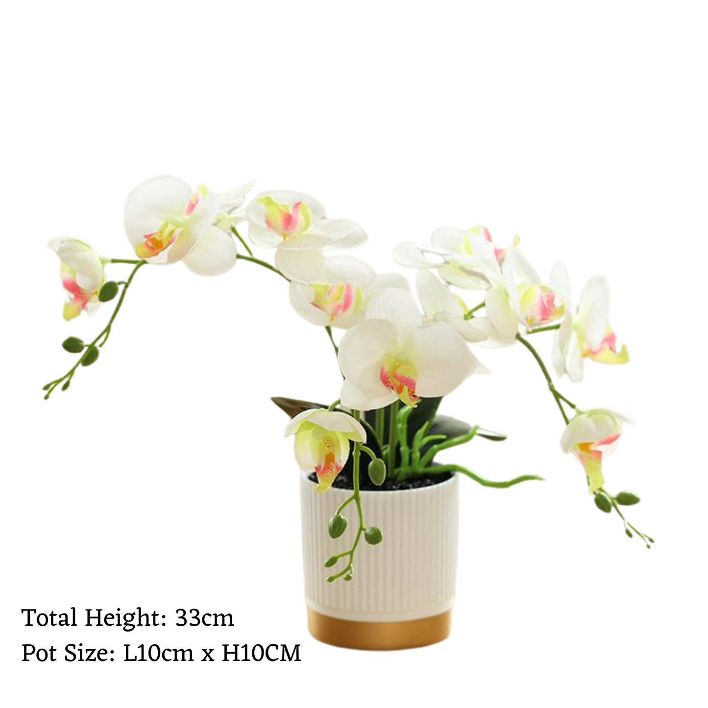 Artificial Orchid in Pot - Gold and White (33cm)