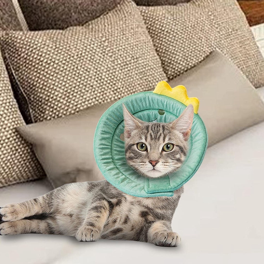 Dinosaur design Pet Collar
