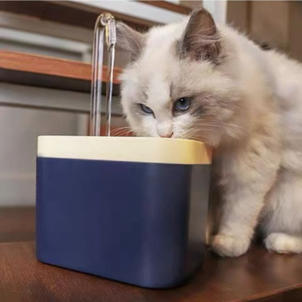 Water Fountain - Automatic with USB