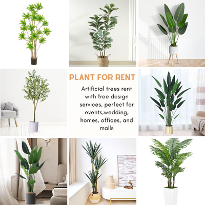 Large Artificial Plant for Rent