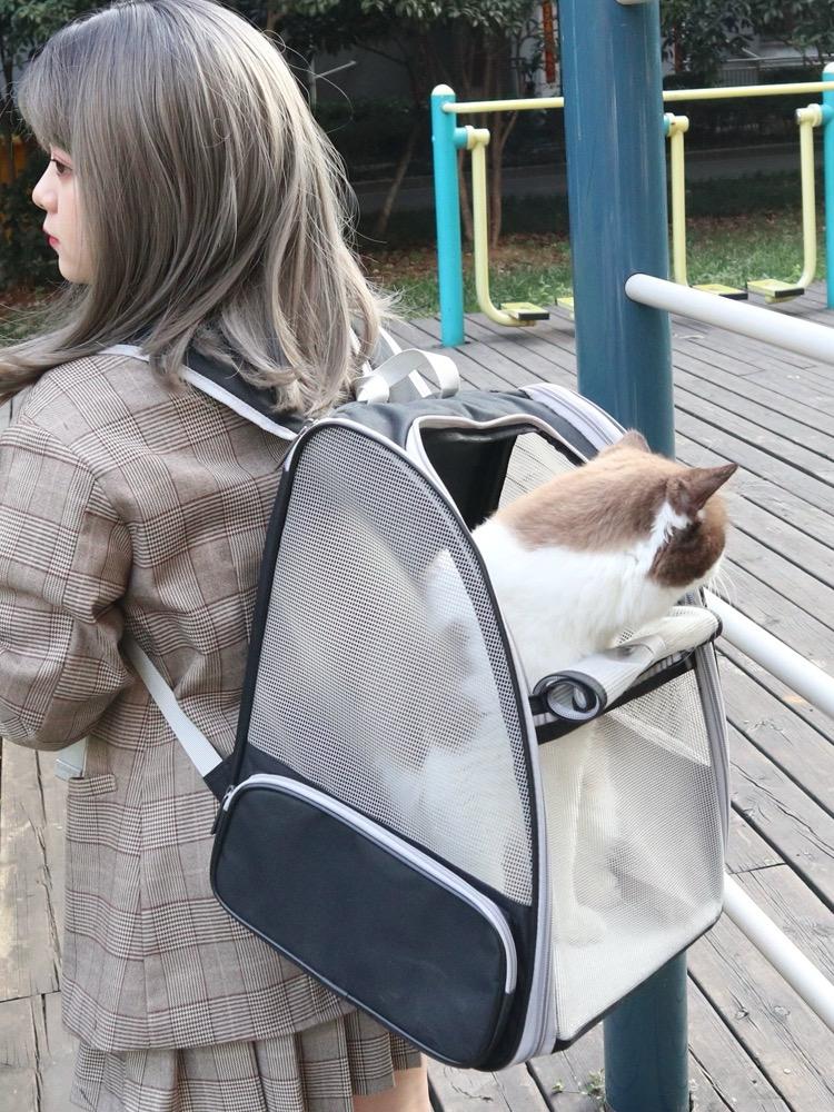 Pet Backpack - Breathable Mesh (38cm)