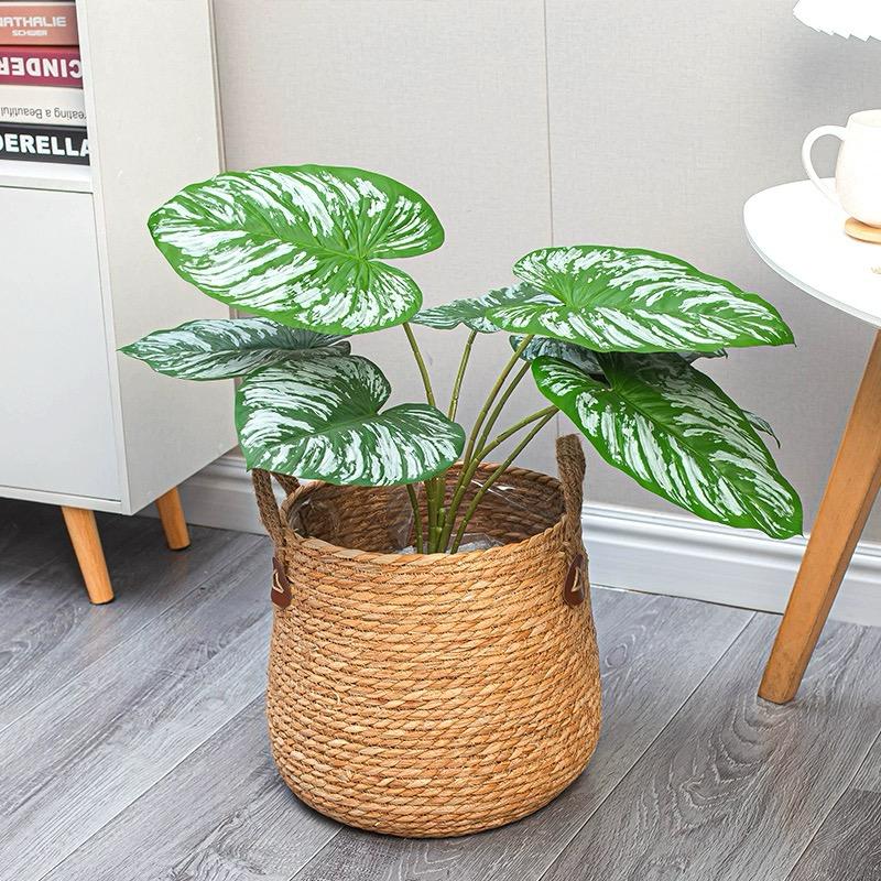 Woven Seagrass Plant Basket