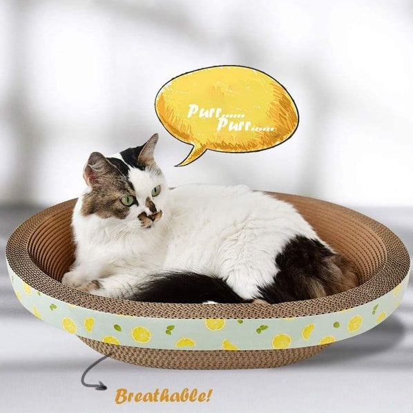 Oval Shape Cat Scratching Board