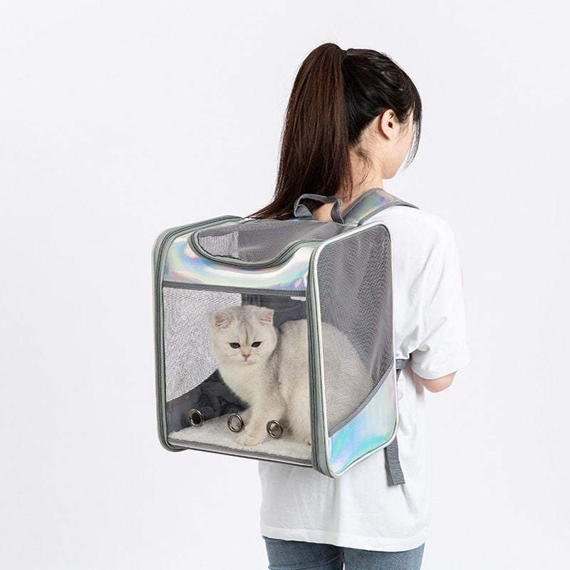 Soft Transparent cover Pet Silver Backpack (35cm)