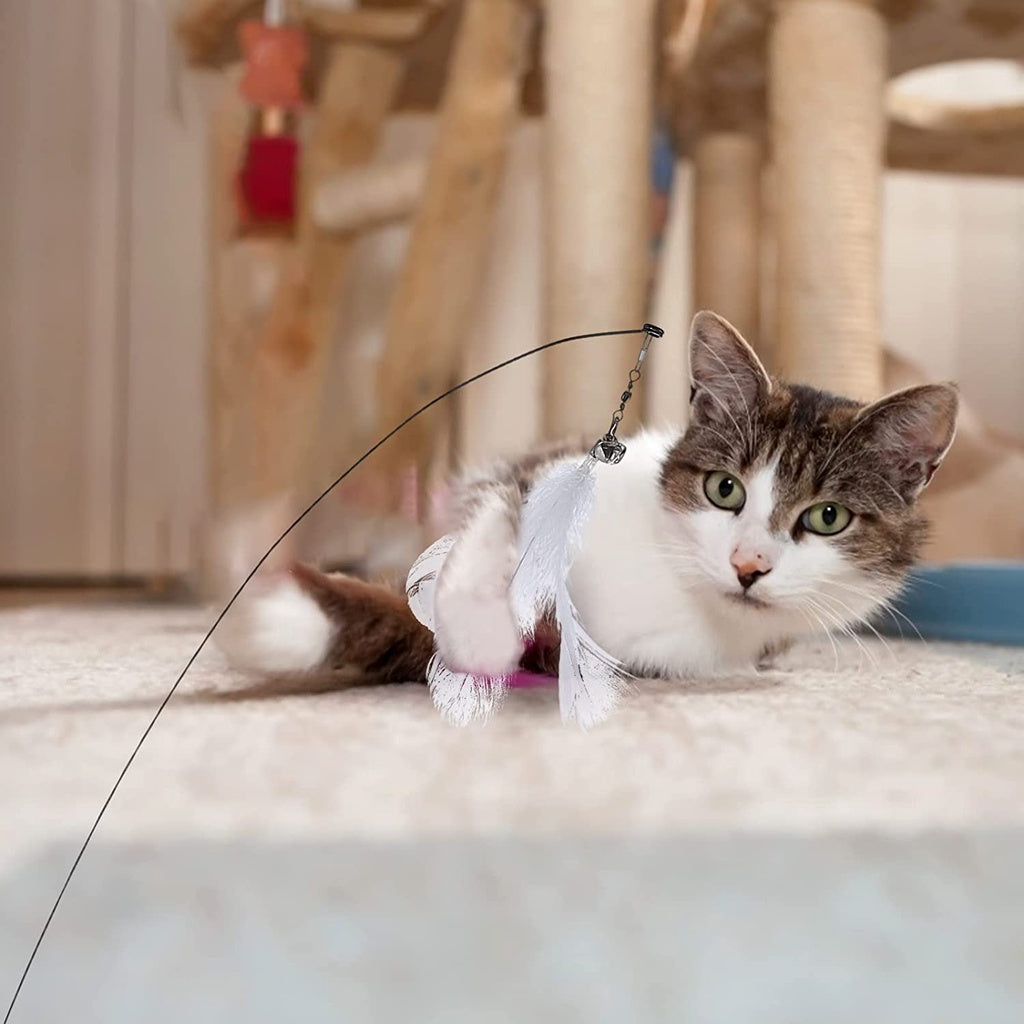 Suction Cup Cat Teaser Toy (White Feather)
