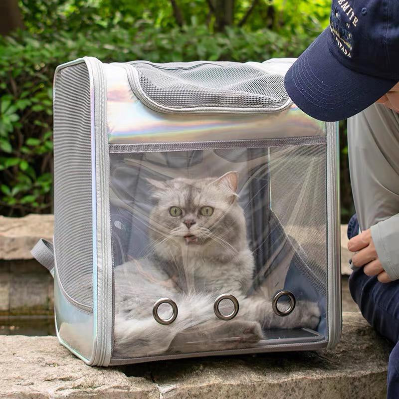 Soft Transparent cover Pet Silver Backpack (35cm)