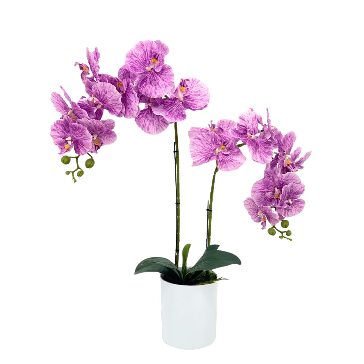 Artificial Purple Orchid in White Plastic Pot