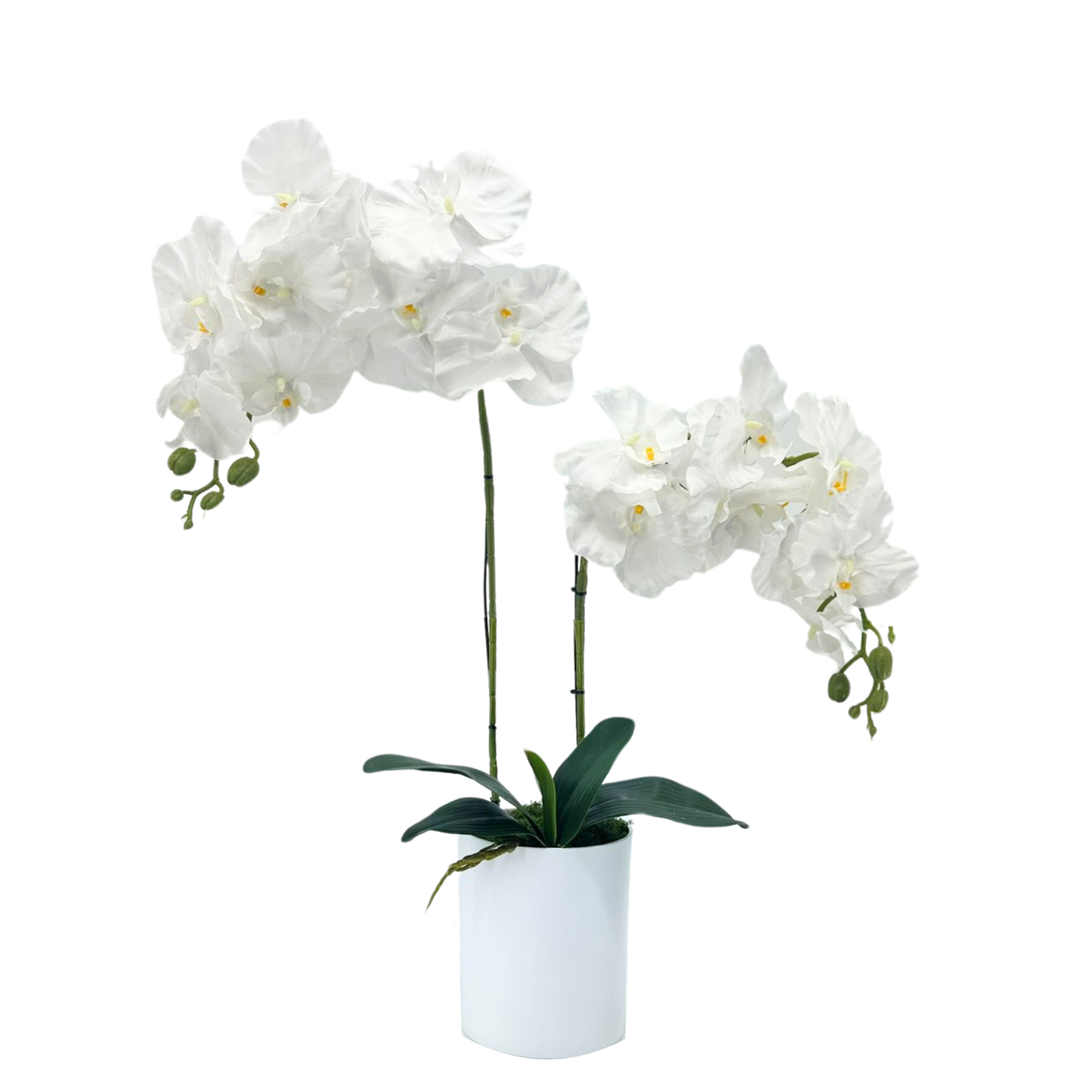Artificial White Orchid in White Plastic Pot