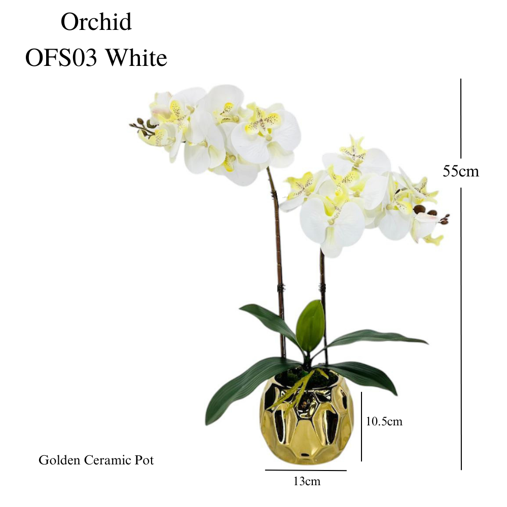 Artificial Orchid in Ceramic Gold Pot (50cm) - Purple/White/RosePink