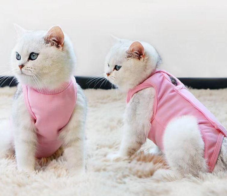 Pet Surgical Recovery Suit